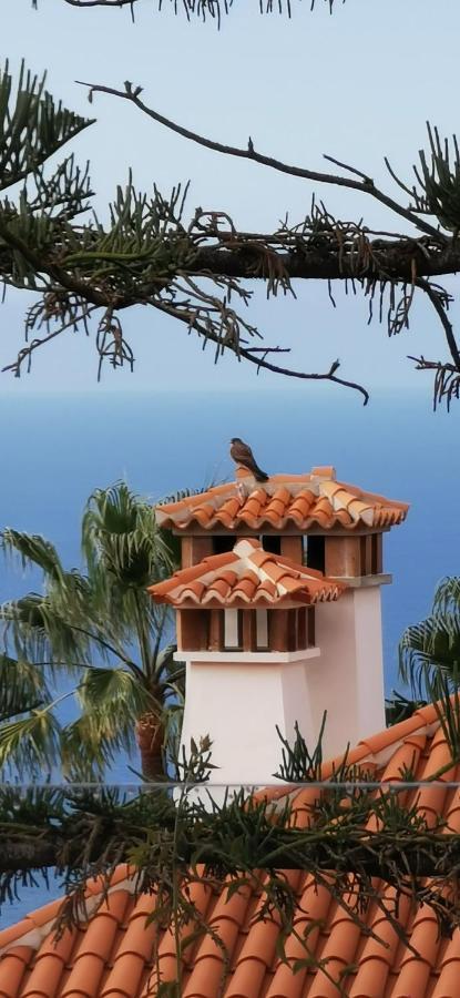 Casa Moja - La Palma Villa Tazacorte Eksteriør billede